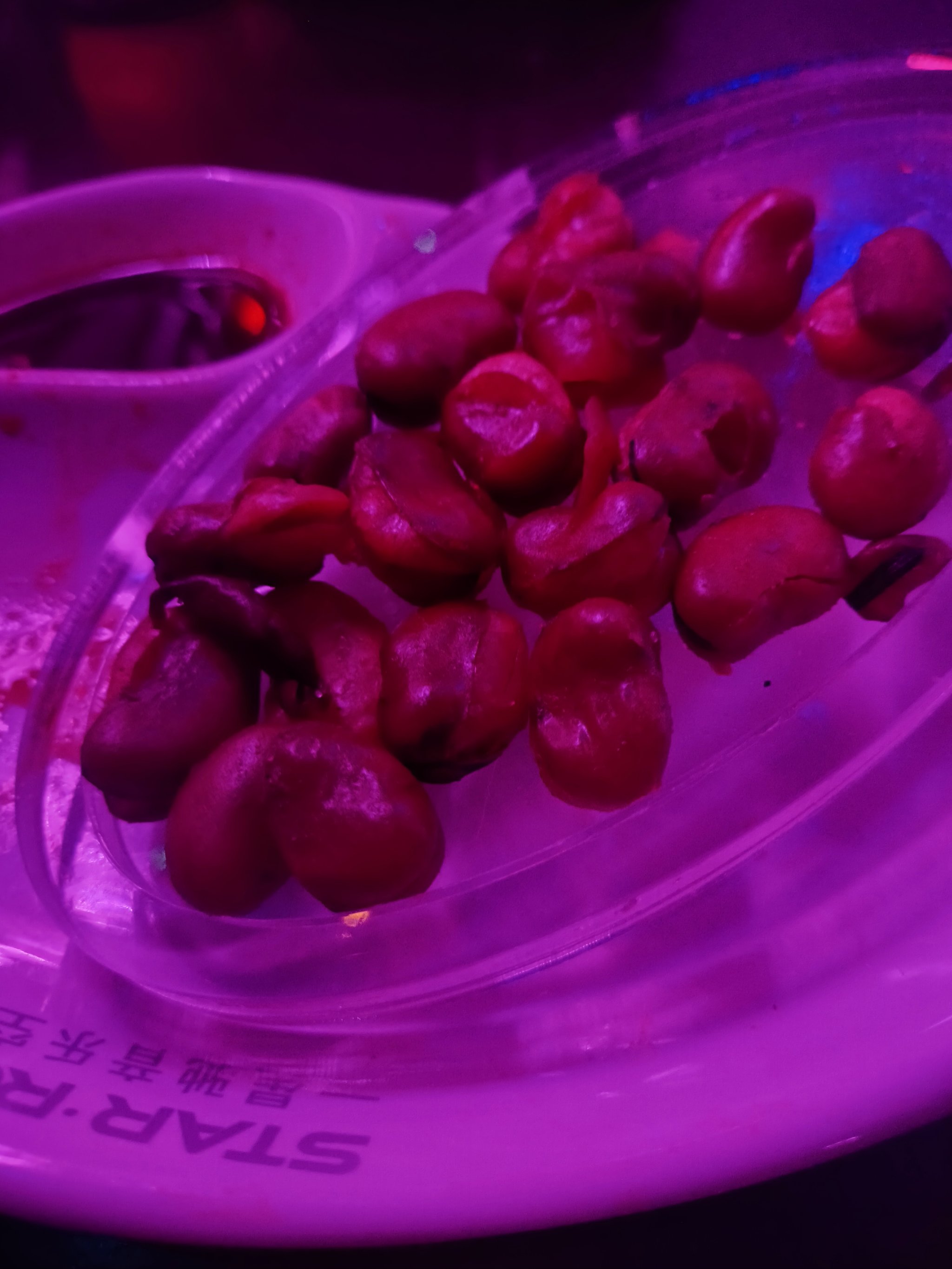 石家庄商务ktv是什么行业-新乐市ktv预定